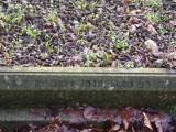 image of grave number 795292